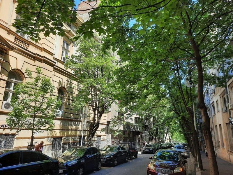 Apartment 51 - Bright, Spacious, Lux 1 Bedroom In The City Center - Stari Grad Belgrado Esterno foto