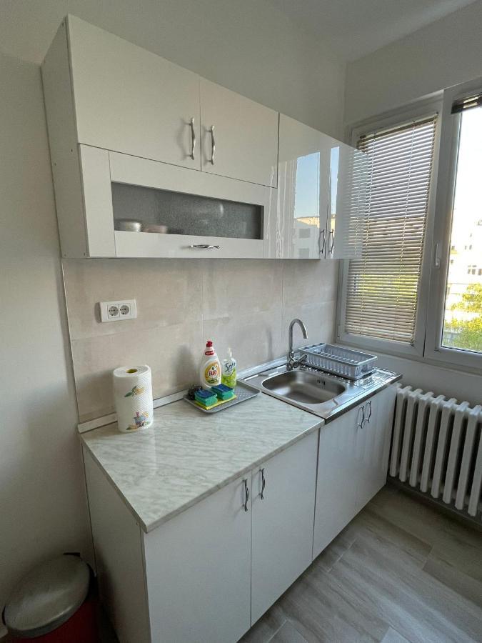 Apartment 51 - Bright, Spacious, Lux 1 Bedroom In The City Center - Stari Grad Belgrado Esterno foto